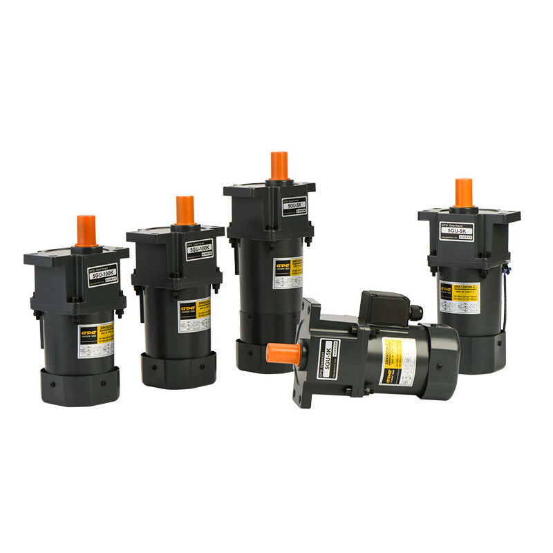 10W कस्टम गियर मोटर इलेक्ट्रिकल गियर मोटर एसी डीसी 110V 220V 380V 24V 48V